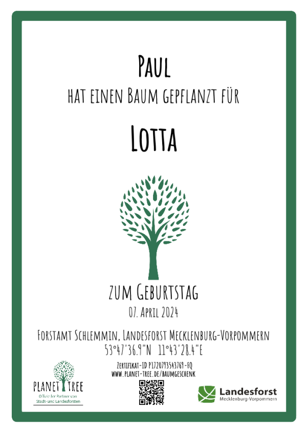Zertifikat - Digitales PDF zum Download Online-Verkauf – Bild 2