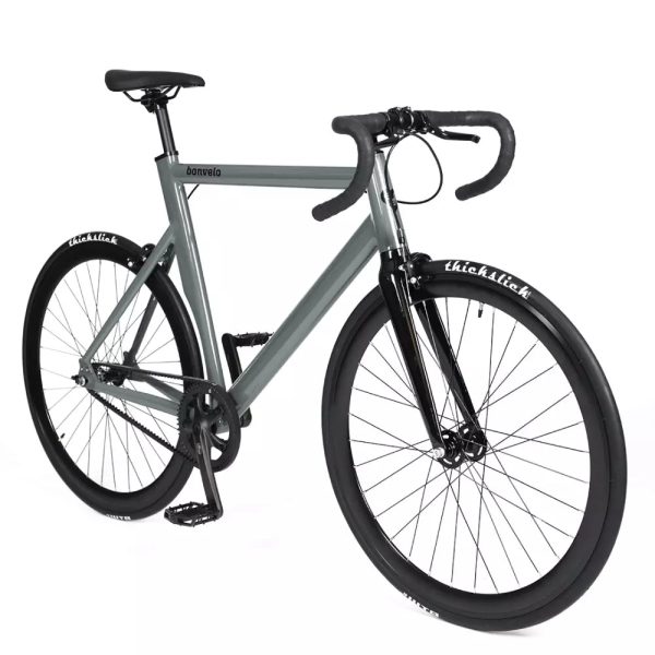 bonvelo RAKEDE Gates Carbon Drive Singlespeed Asphalt L XL Online – Bild 2