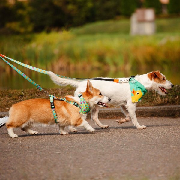 Multi Function Leash - Ducklings Verkauf – Bild 4