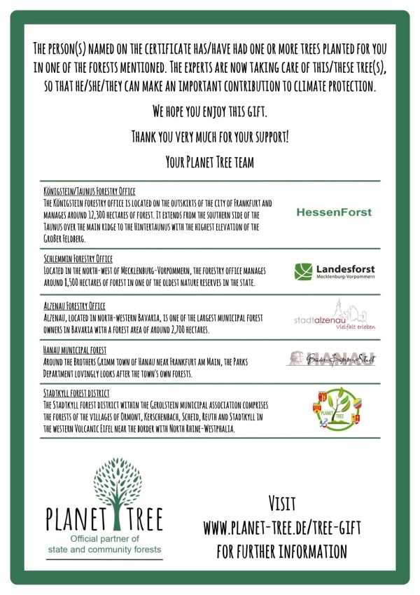 🇬🇧 Certificate - Printed version in certificate folder Im Angebot – Bild 5