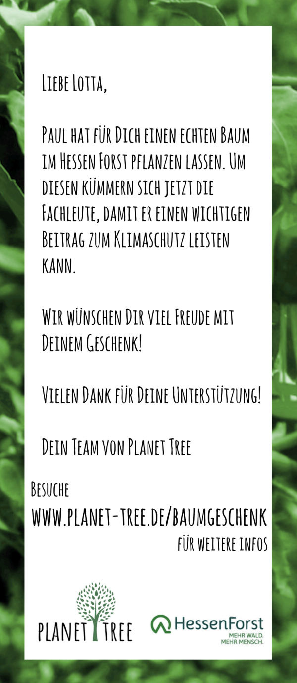 3D Tierkopf Elch Mode – Bild 5