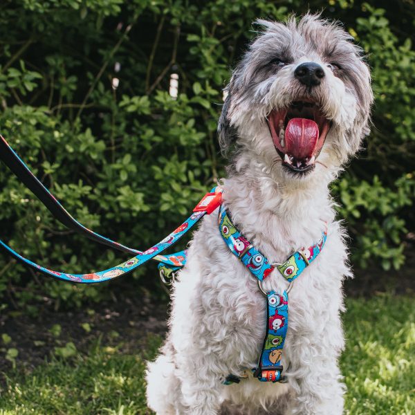 Multi Function Leash - Little Monsters Rabatt – Bild 5