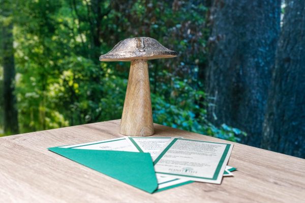 Pilz aus Holz Zu verkaufen – Bild 5