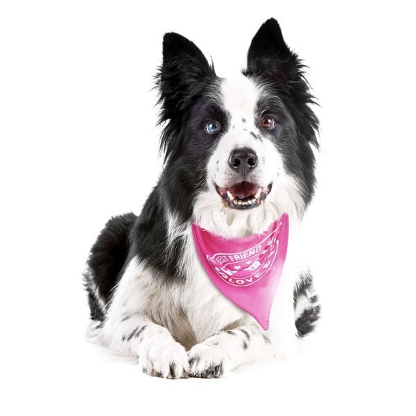 Bandana Mode – Bild 2