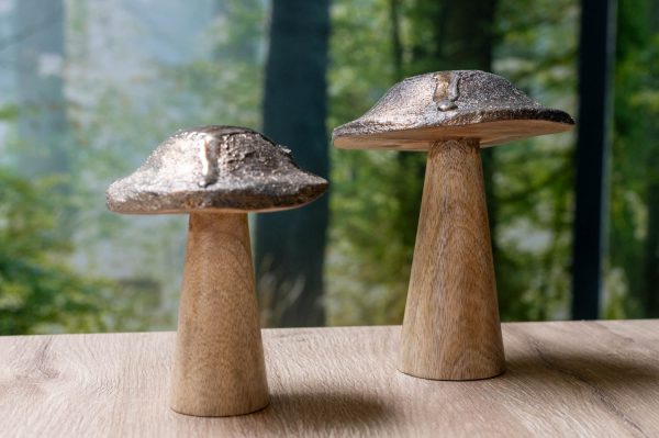 Pilz aus Holz Zu verkaufen – Bild 3