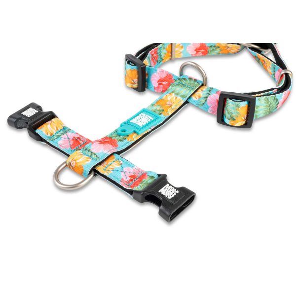 H-Harness - Exotique Verkauf – Bild 2