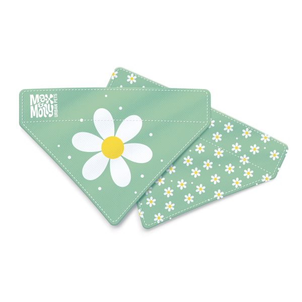 Bandana - Margarite Im Angebot