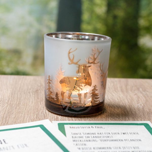 Windlicht geeist in Gold Online – Bild 4