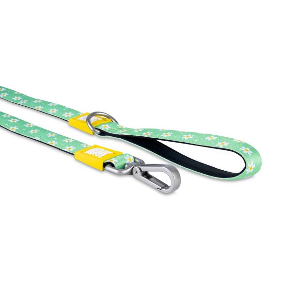 Short Leash - Margarite Online-Verkauf – Bild 2