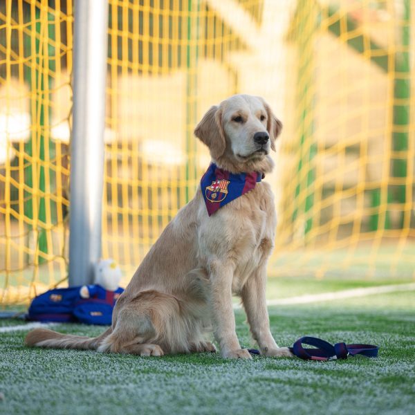 FC Barcelona Bandana Online-Verkauf – Bild 4