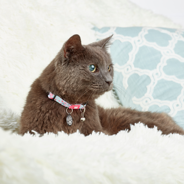 Smart ID Cat Collar - Cherry Bloom Zu verkaufen – Bild 3