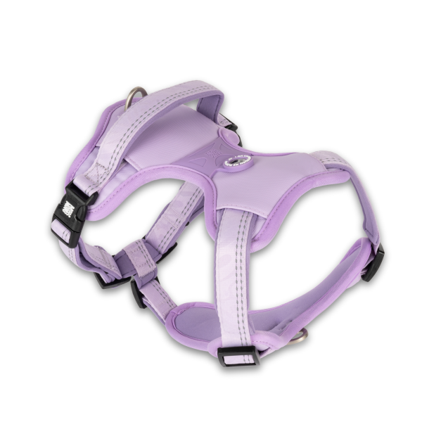 GOTCHA! Smart ID Sport Harness - Matrix 2.0 Lavender Angebot