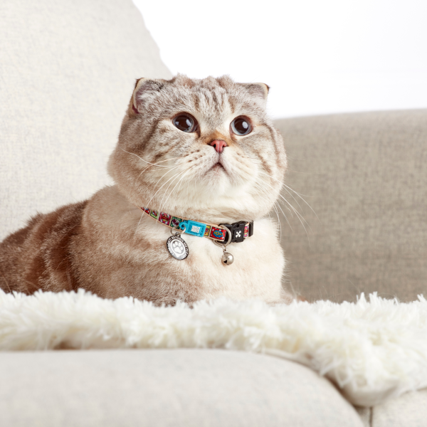 Gotcha! Smart ID Cat Collar - Comic Online-Schn?ppchen – Bild 2
