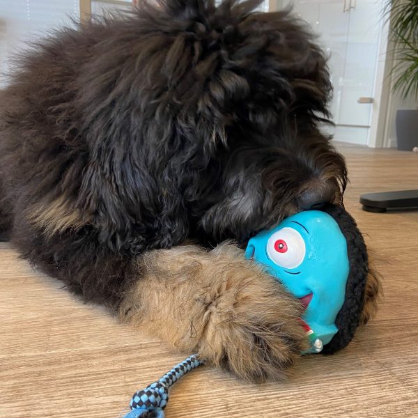 Snuggles Toy - Bubba King Online – Bild 4