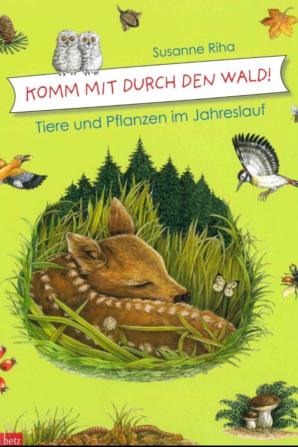 Komm mit durch den Wald - Tiere und Pflanzen im Jahreslauf Online-Schn?ppchen