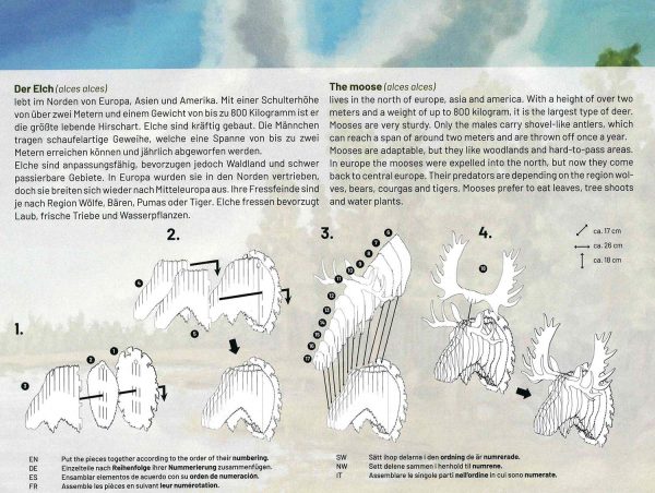 3D Tierkopf Elch Mode – Bild 3
