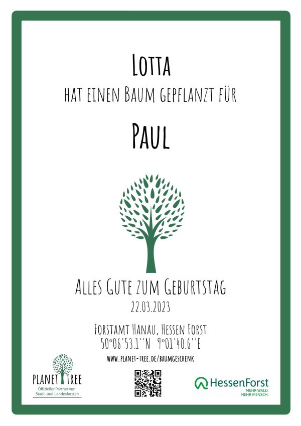 Zertifikat - RIEDLE digital Angebot – Bild 5