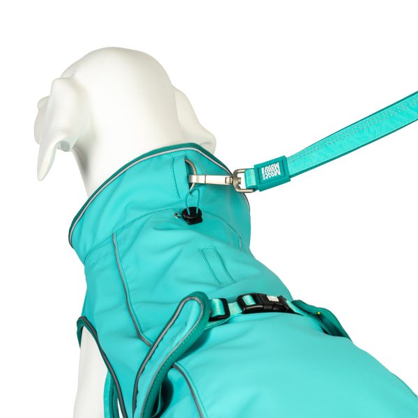 Raincoat for dogs - MATRIX 2.0 TURQUOISE Zu verkaufen – Bild 3