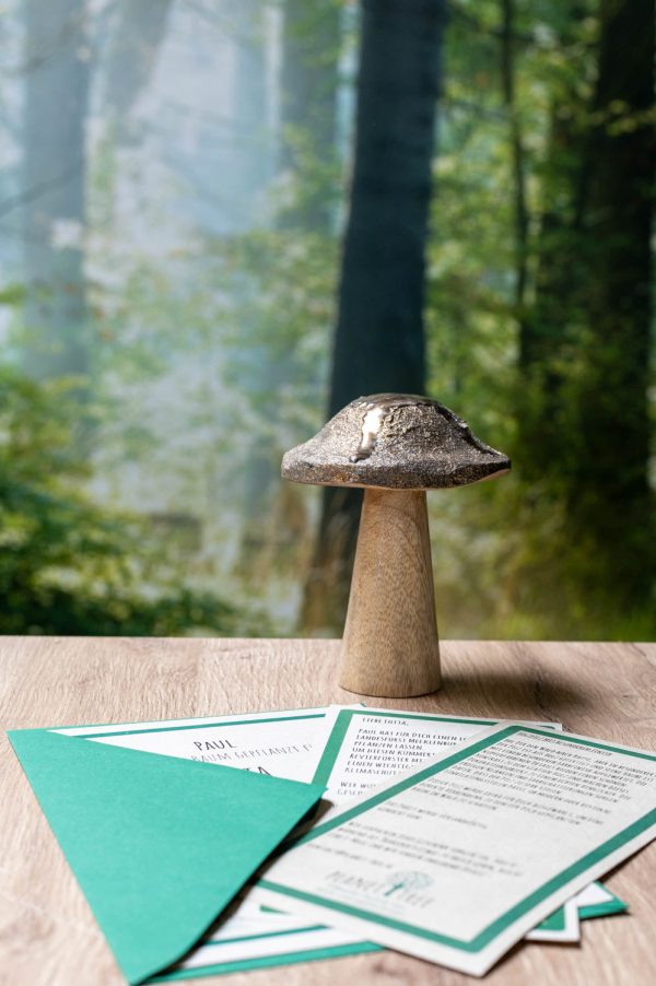 Pilz aus Holz Zu verkaufen – Bild 4