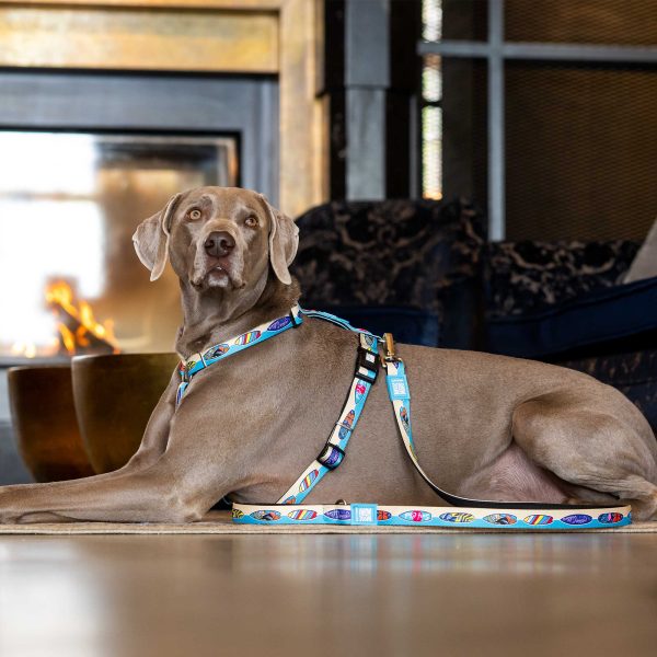 Multi Function Leash - Aloha Zu verkaufen – Bild 4