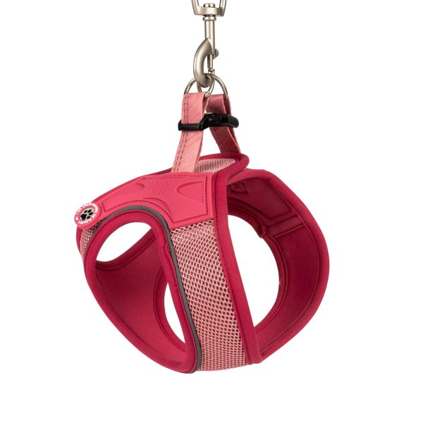 Air Vest Dog Harness - Matrix 2.0 ROSE Jetzt online – Bild 2