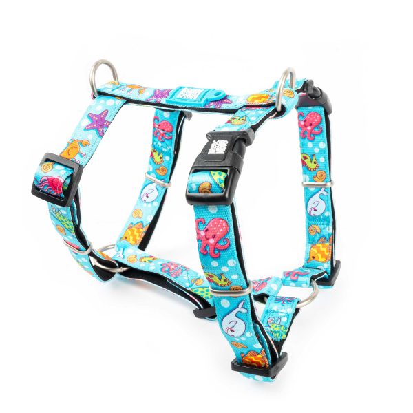 H-Harness - Blue Ocean Zu verkaufen