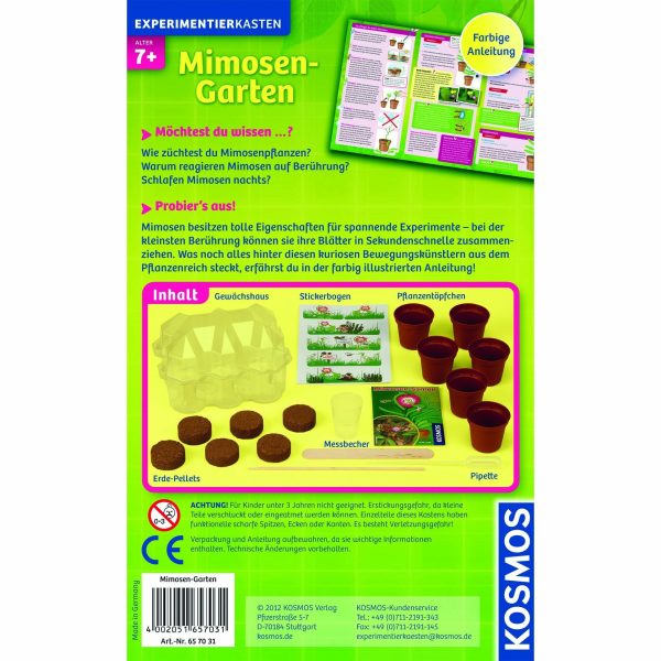 Mimosen-Garten Angebot – Bild 2