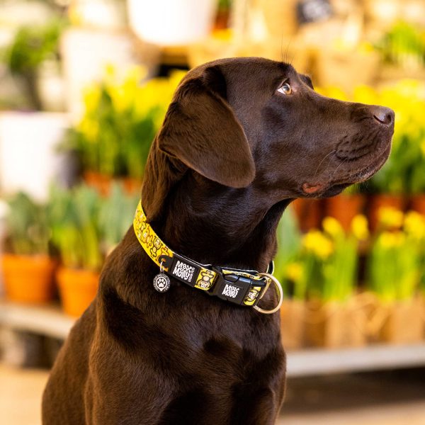 GOTCHA! Smart ID Collar - Monkey Maniac Im Angebot – Bild 5