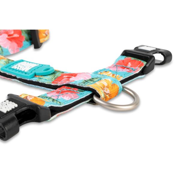H-Harness - Exotique Verkauf – Bild 3
