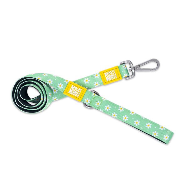 Short Leash - Margarite Online-Verkauf