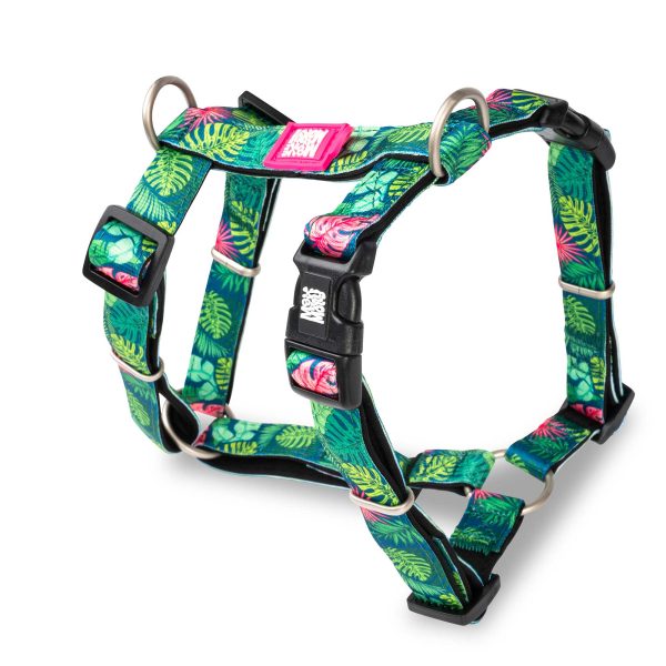 H-Harness - Tropical Angebot