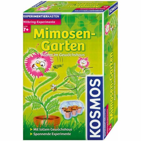 Mimosen-Garten Angebot