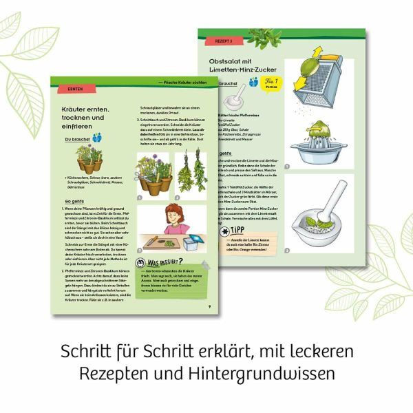 KOSMOS | Kräutergarten Verkauf – Bild 3