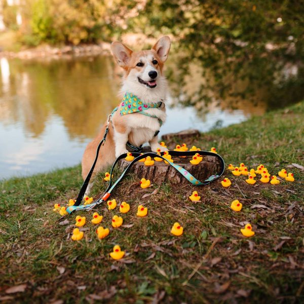 Multi Function Leash - Ducklings Verkauf – Bild 5