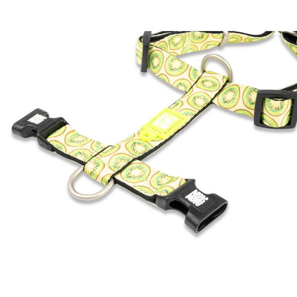 H-Harness - Kiwi Online-Verkauf – Bild 2