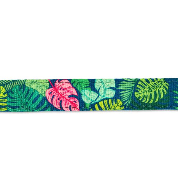 H-Harness - Tropical Angebot – Bild 4
