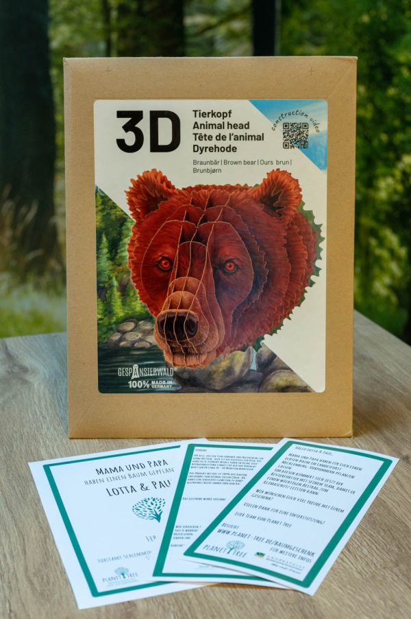3D Tierkopf Braunbär Online – Bild 2