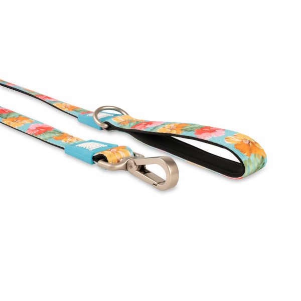 Short Leash - Exotique Zu verkaufen – Bild 2