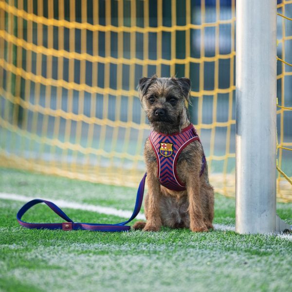 FC Barcelona Short Leash Rabatt – Bild 3