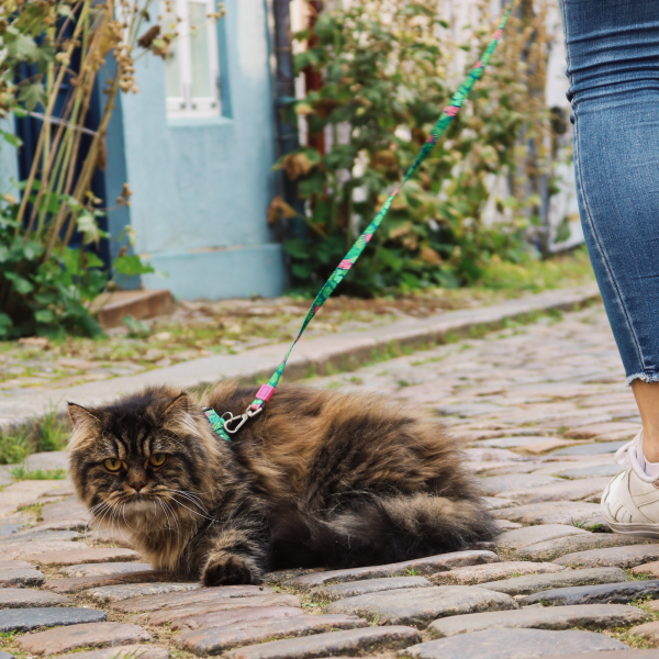 Cat Harness Leash Set - Tropical Verkauf – Bild 2