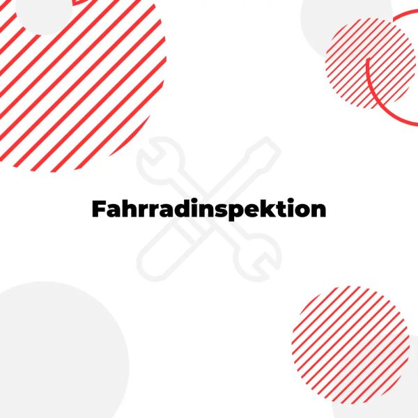 Fahrradinspektion Online