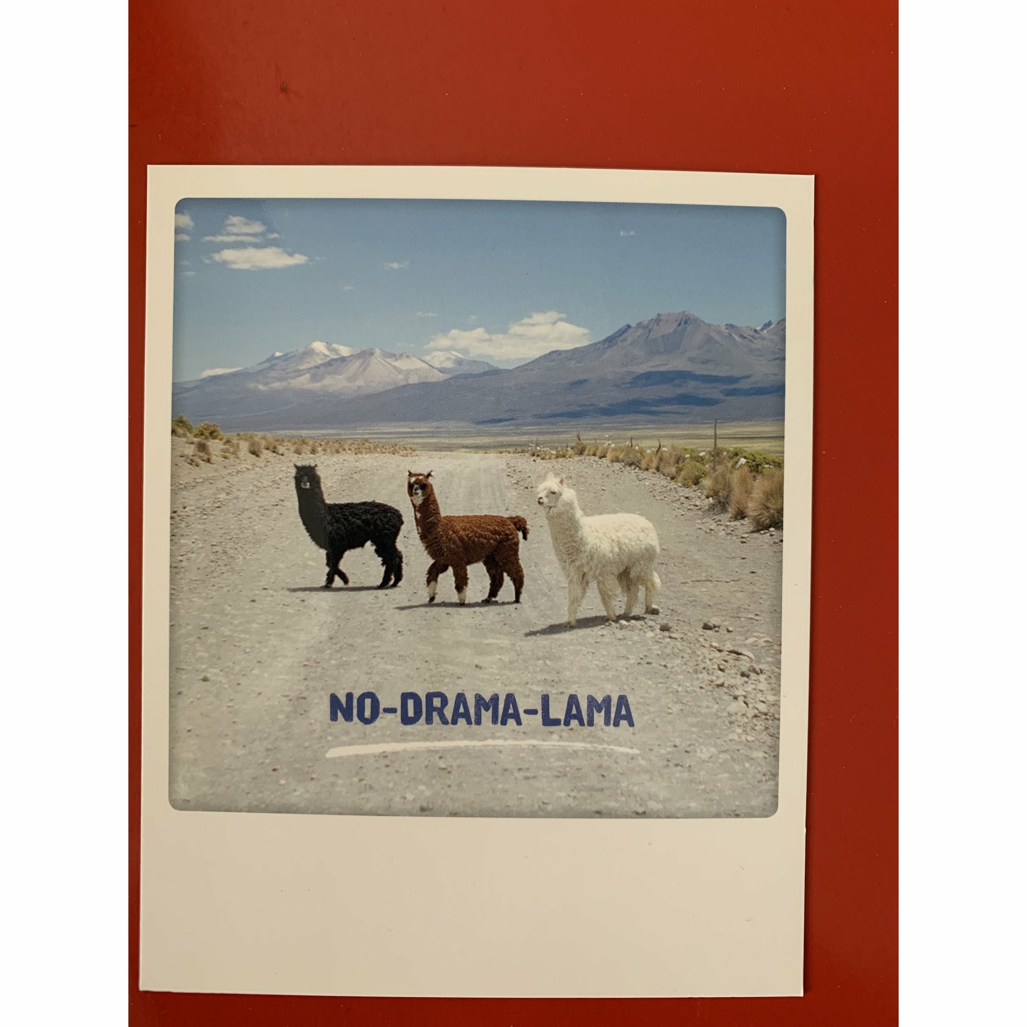 no drama lama Zu verkaufen