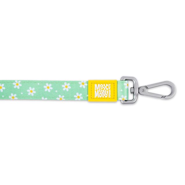 Short Leash - Margarite Online-Verkauf – Bild 3