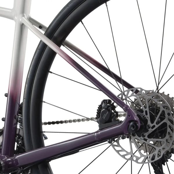 LIV Avail AR 2025 Rennrad Fancy White M Rabatt – Bild 3