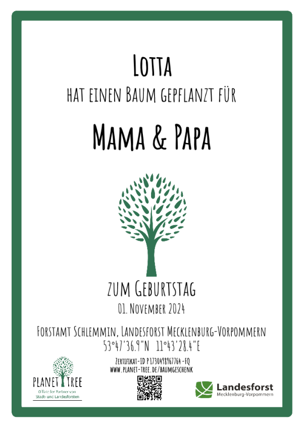 Zertifikat - Digitales PDF zum Download Online-Verkauf – Bild 4