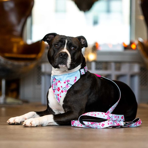 Multi Function Leash - Cherry Bloom Online-Schn?ppchen – Bild 4