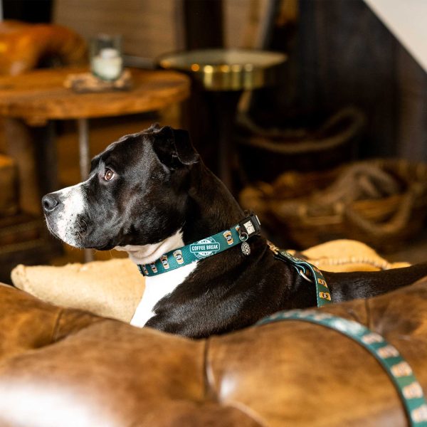 Short Leash - Coffee Break Zu verkaufen – Bild 3