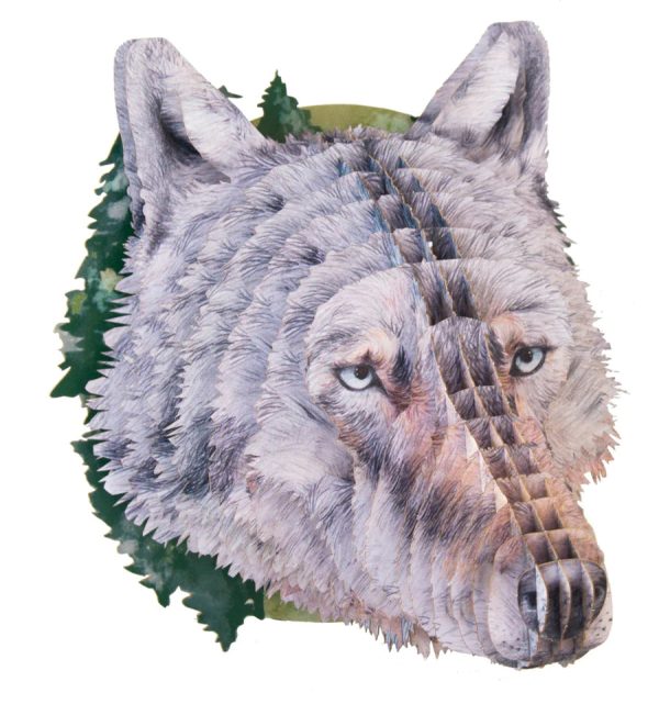 3D Tierkopf Wolf Zu verkaufen