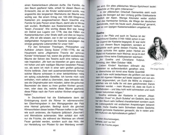 Inspiration unter Bäumen - von Buddha bis Voltaire Mode – Bild 2