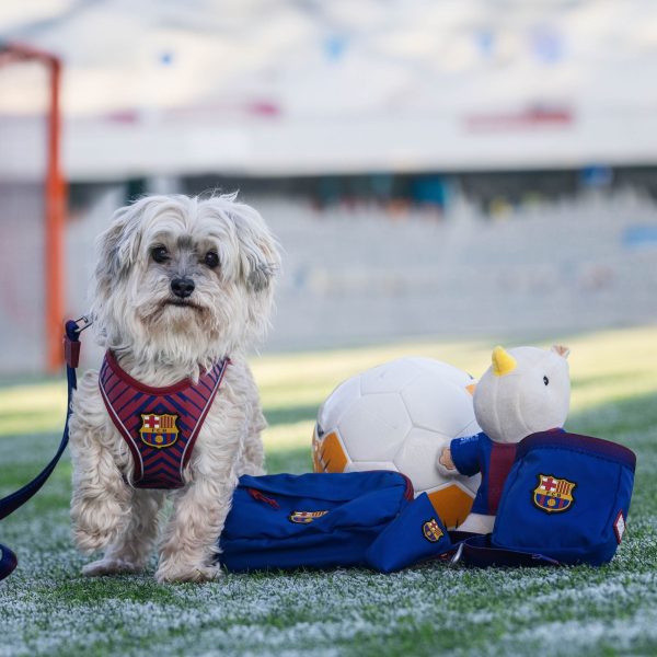 FC Barcelona Treatbag Mode – Bild 5